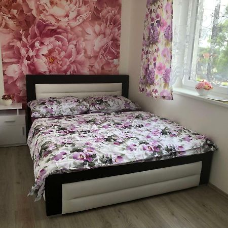 Apartman Na Lukach - Kopretina Trebon Bagian luar foto